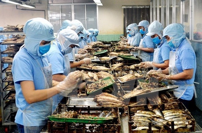 附圖：2018年前兩月越南水產(chǎn)品出口額同比增長近30%。（圖片來源：越通社）